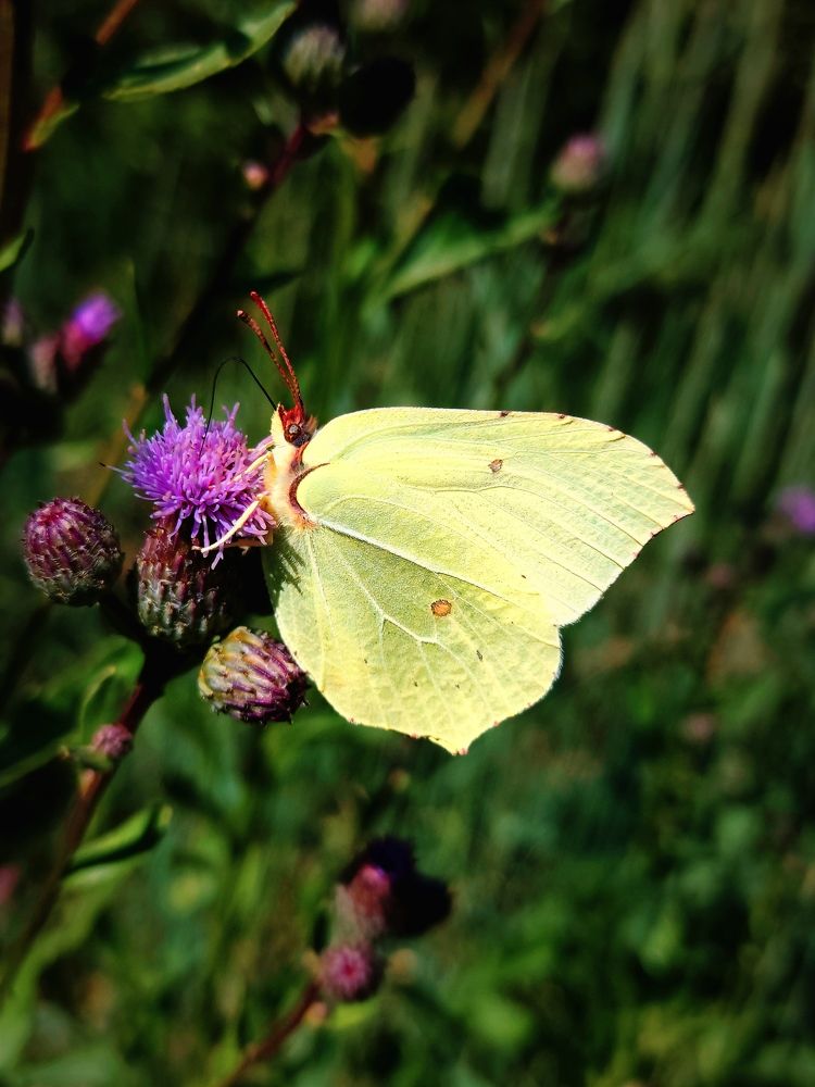 Photograph by Надежда Сморкалова