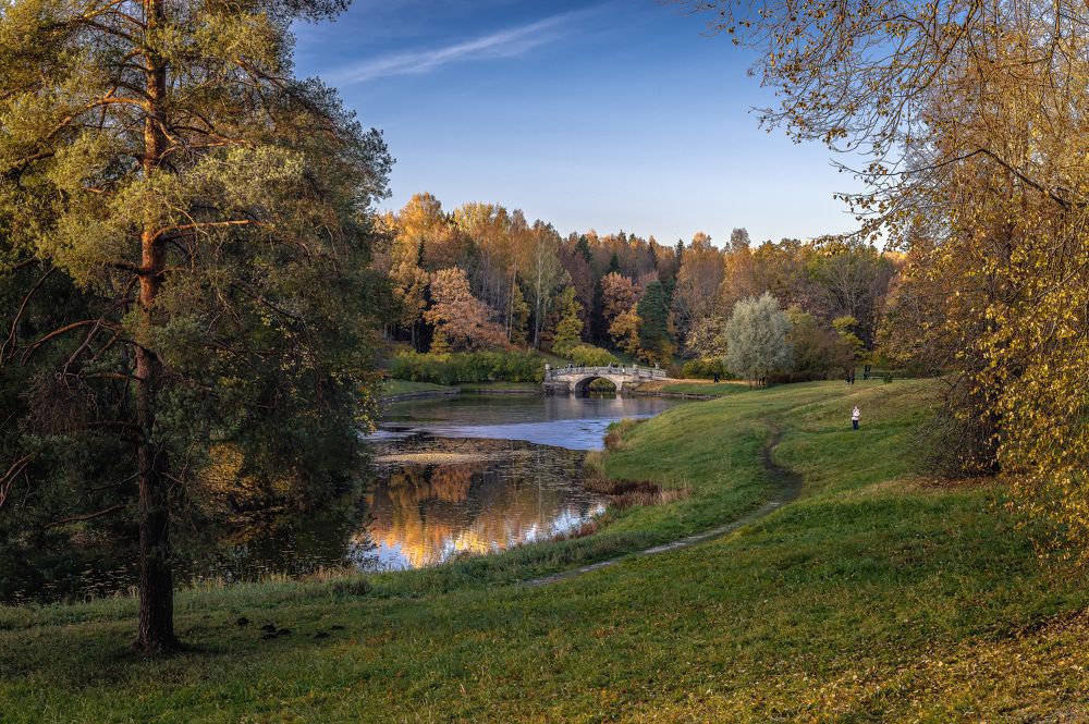 В осеннем парке