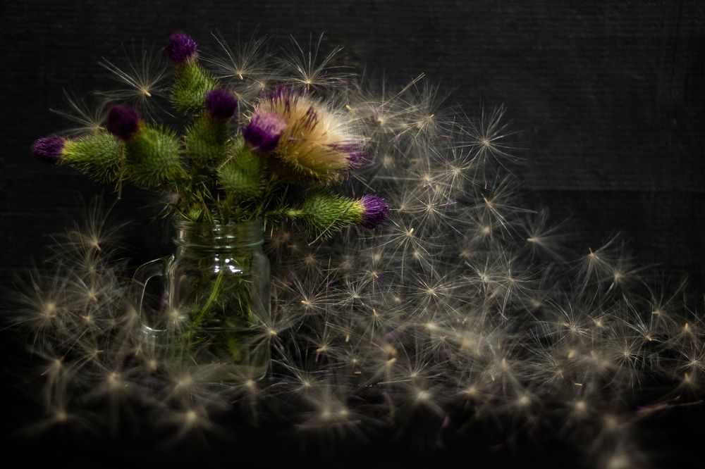 Photograph by Анастасия Трофимовская