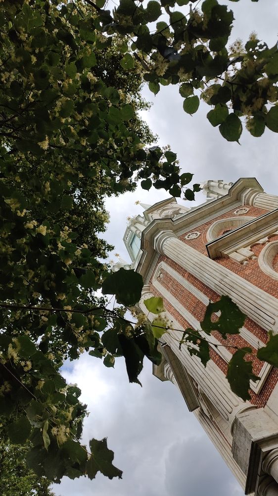 Photo #10840561