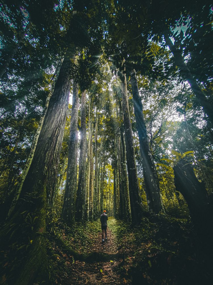 In the embrace of Giants