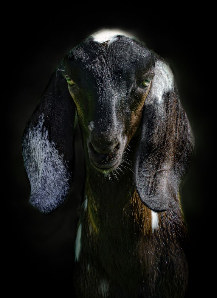 Фотография автора Черновол Валентин