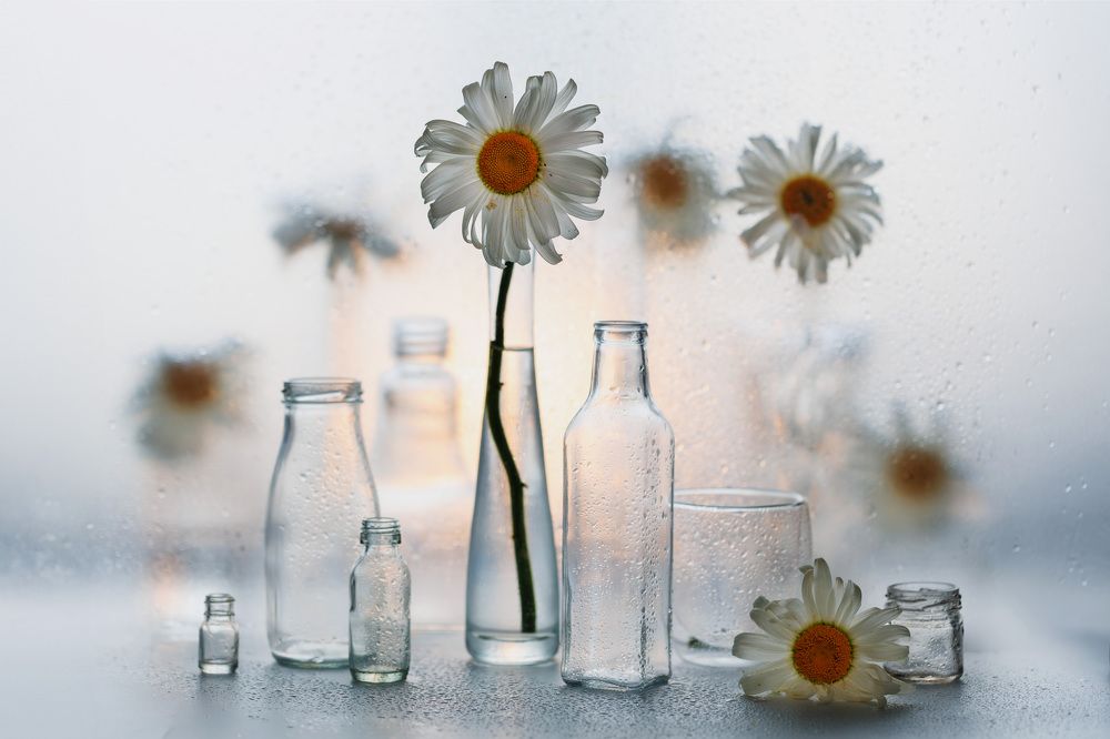 Photograph by Людмила Аксенова