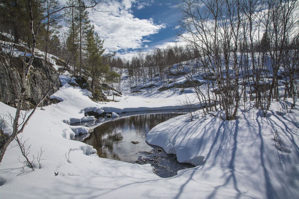 Photograph by Ольга Яскунова