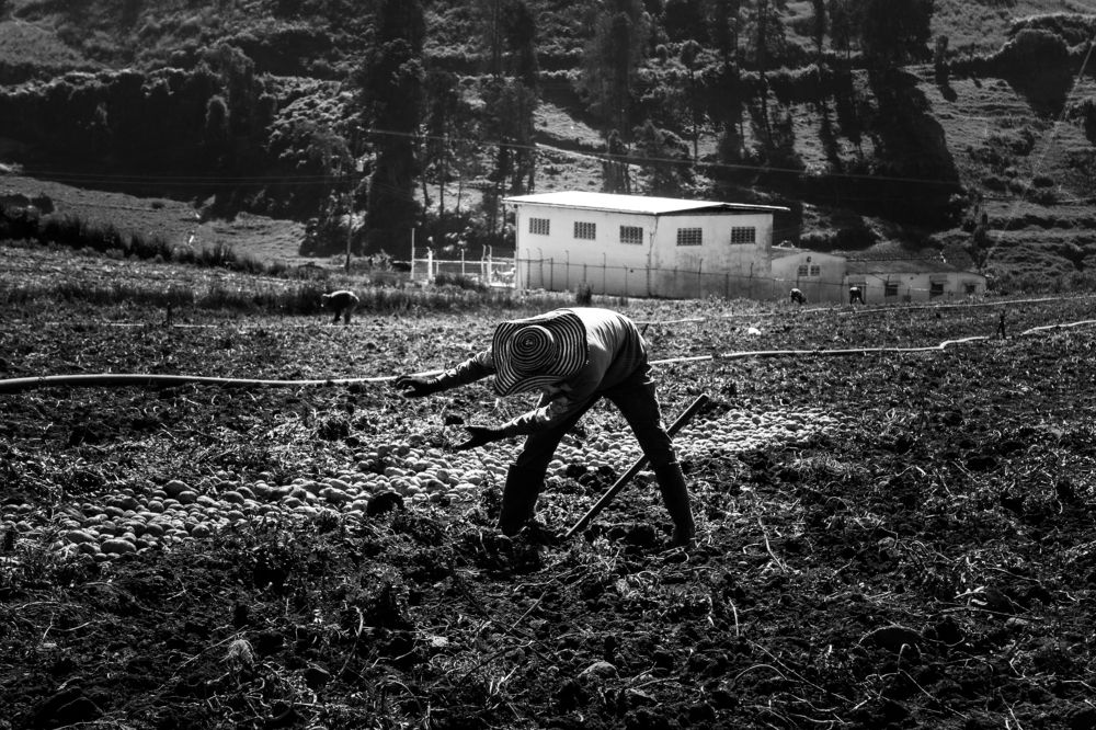 Photograph by Gustavo Torres