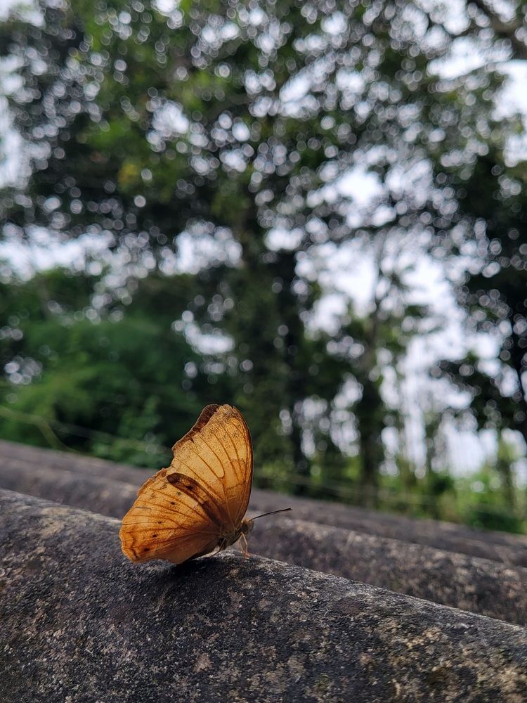 Photograph by Muhammed Salih Vp