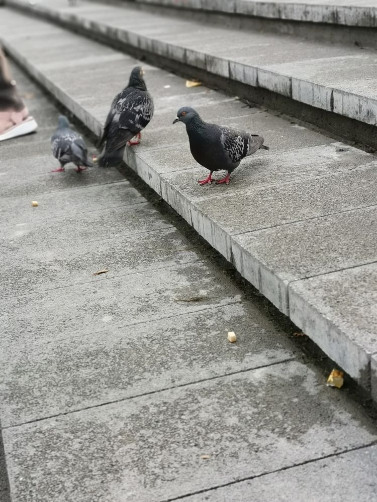 Photograph by Любовь Лунина