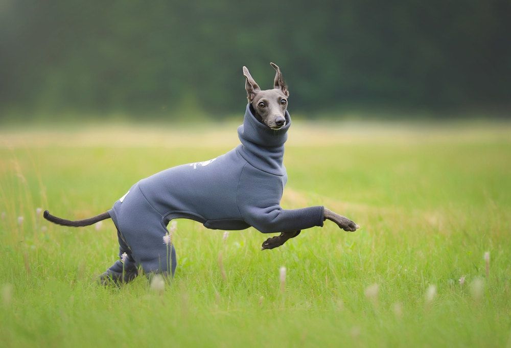 Photograph by Екатерина