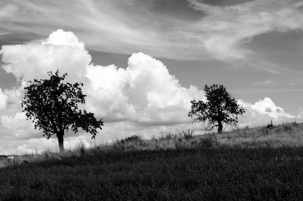 Photograph by Ali Alqassab