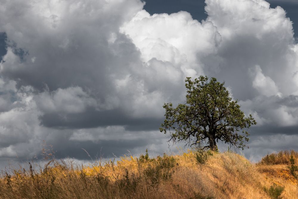 Photograph by Ali Alqassab