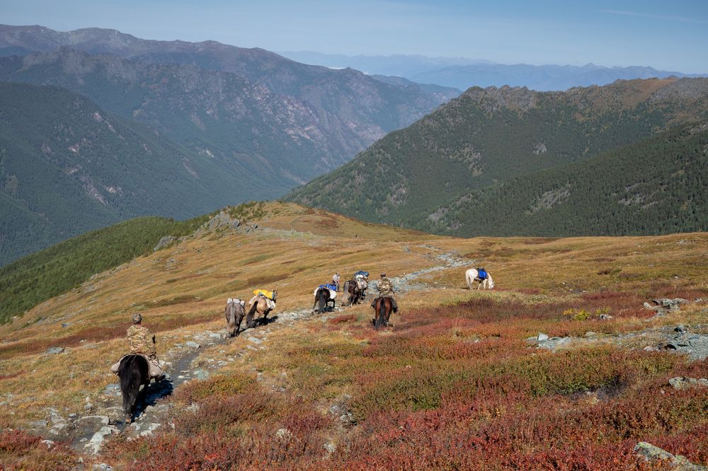 Photograph by Рашид Шайдулин