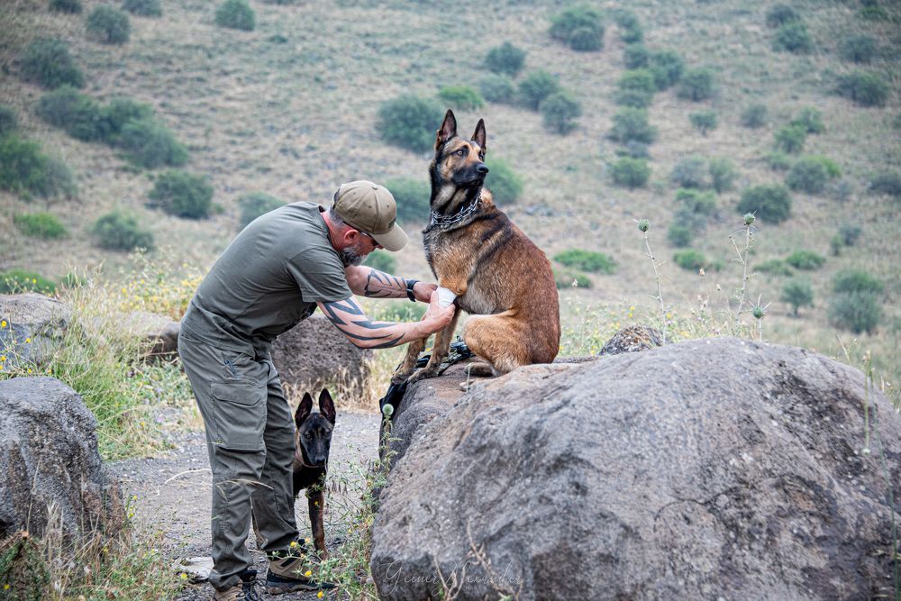 Photograph by Алекс Гейнер