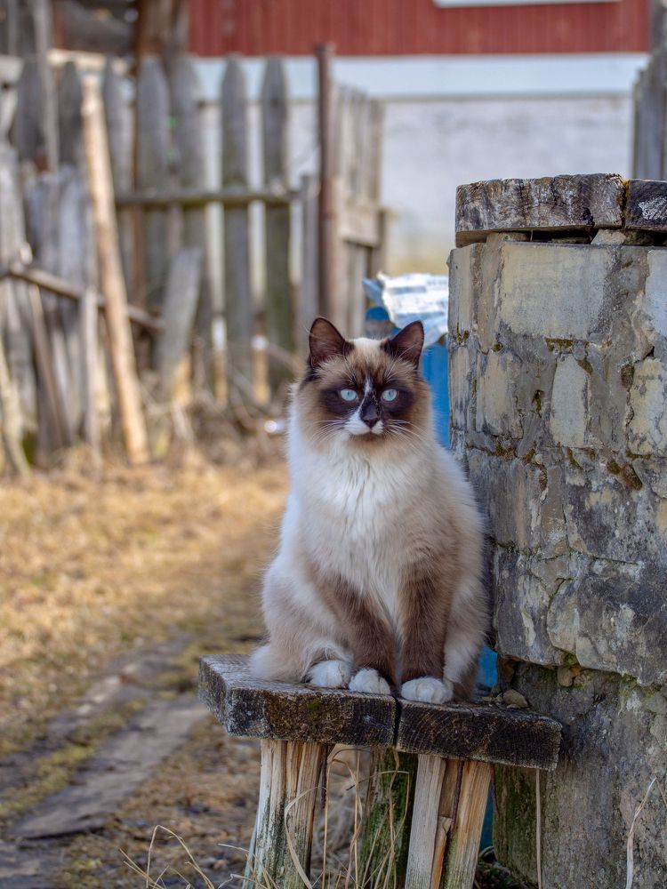 Photograph by Мудрилов Антон