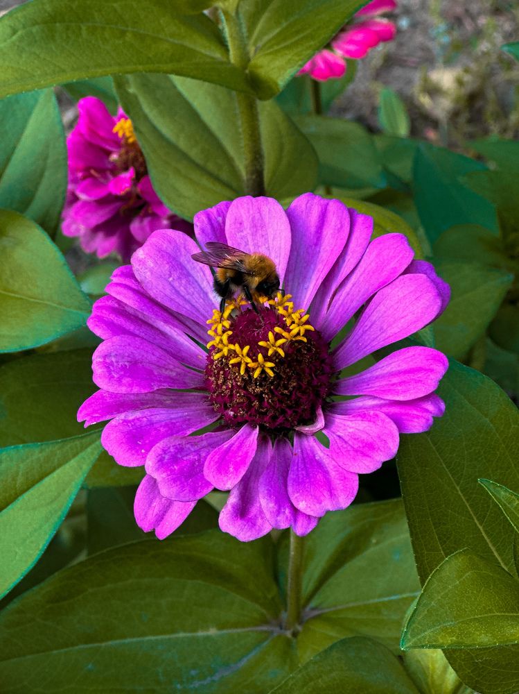 Photograph by Алёна Стародубцева