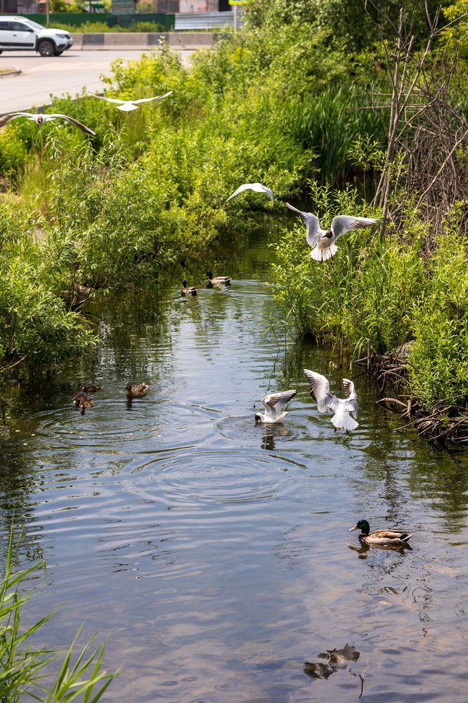 Photograph by Анастасия Сидранская