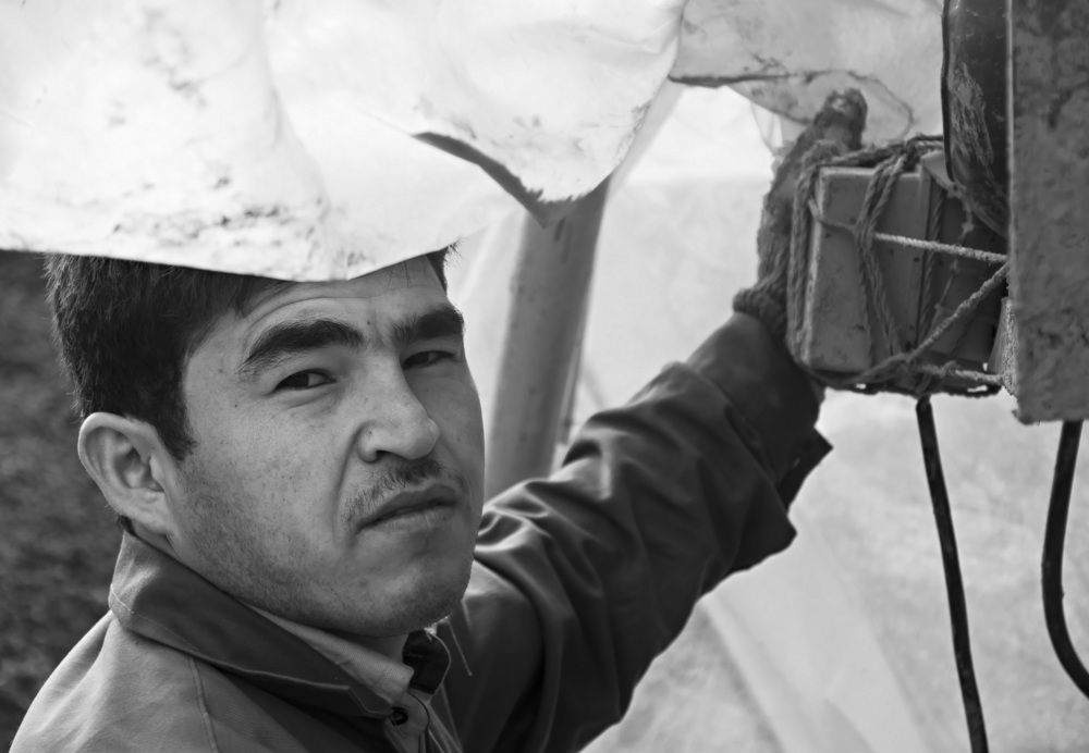 Photograph by محمودرضا نورایی