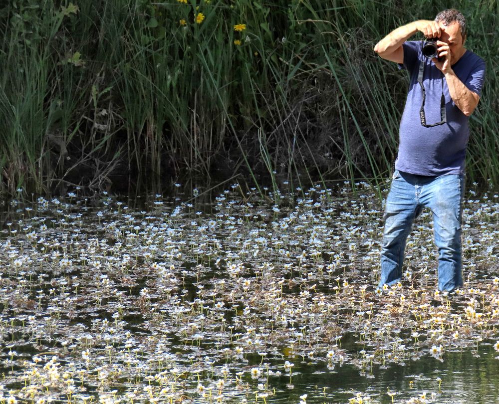 Photograph by Drora Baharal