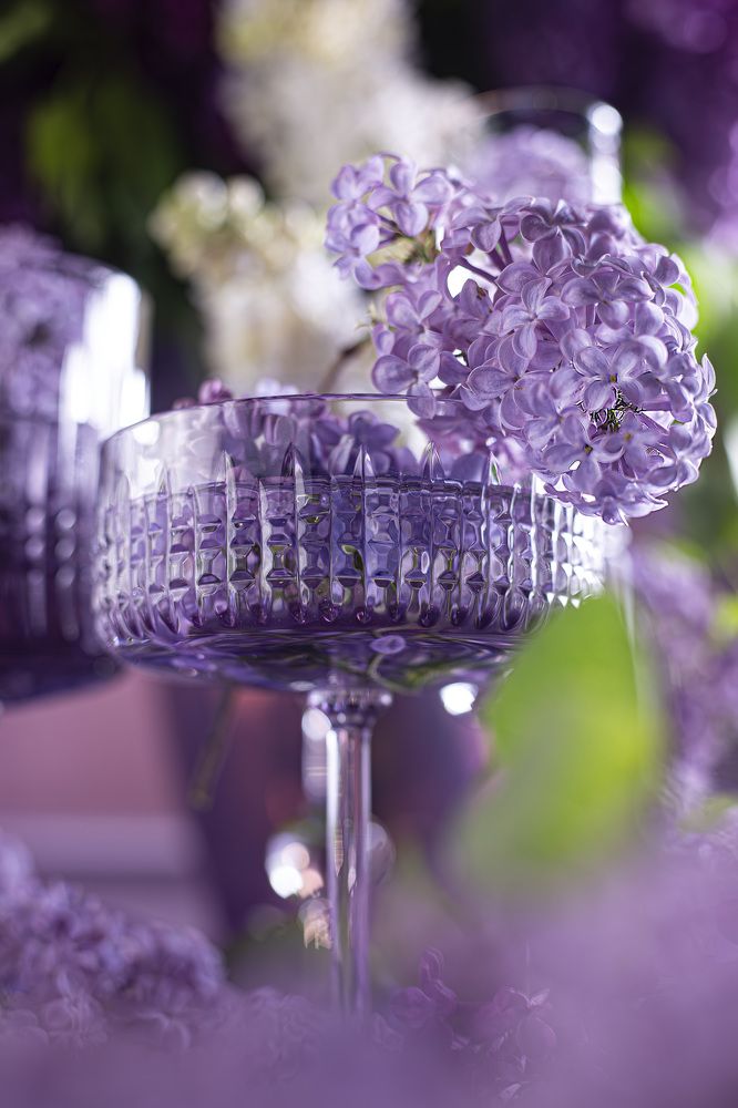 Фотография автора Татьяна Пирогова