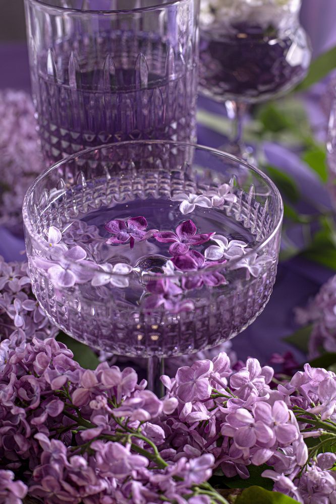 Фотография автора Татьяна Пирогова