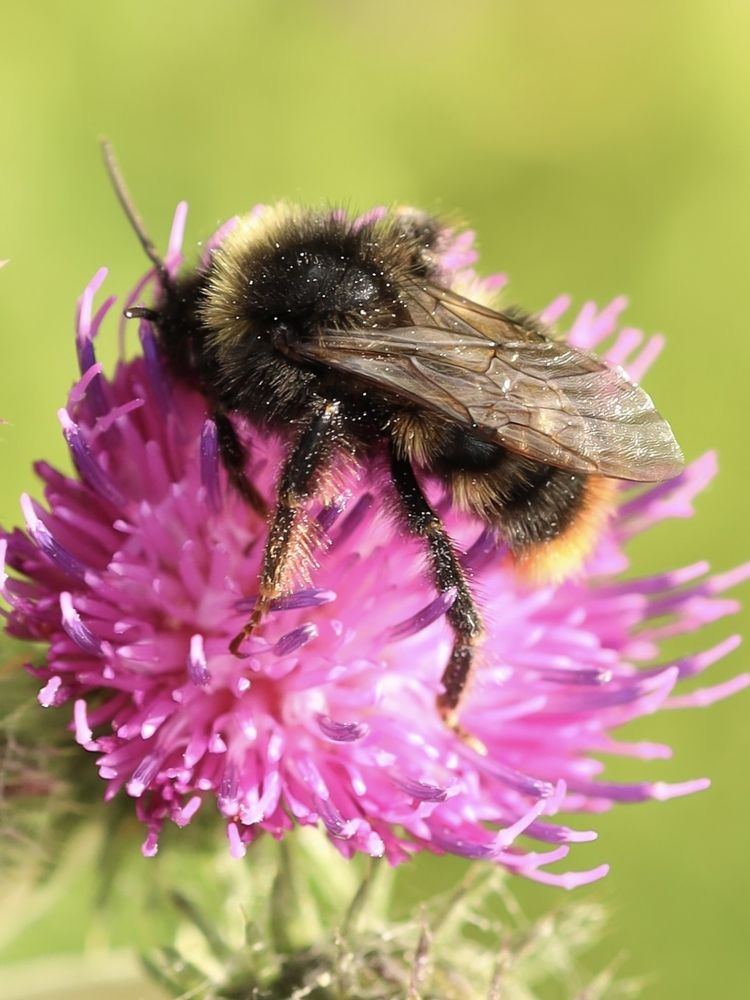 Photograph by Рина Серёгина