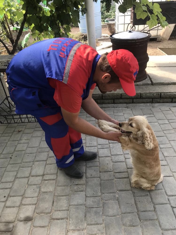 Фотография автора Анатолий Дячина