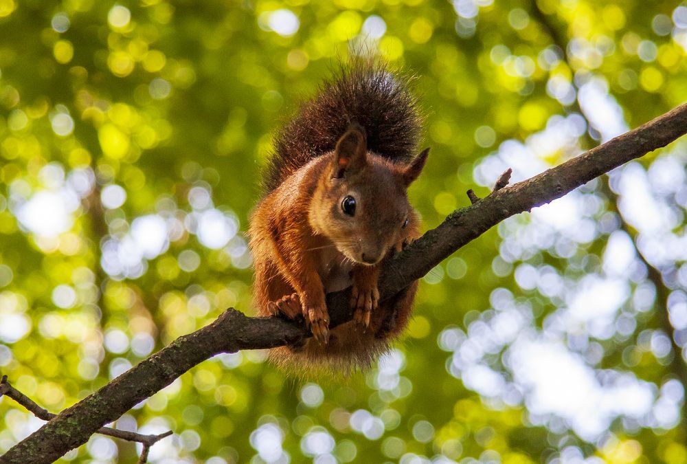 Photograph by Воробьева Людмила