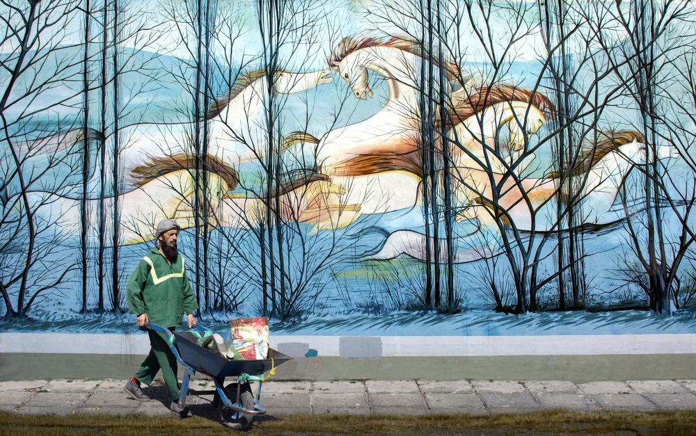 Photograph by محمودرضا نورایی