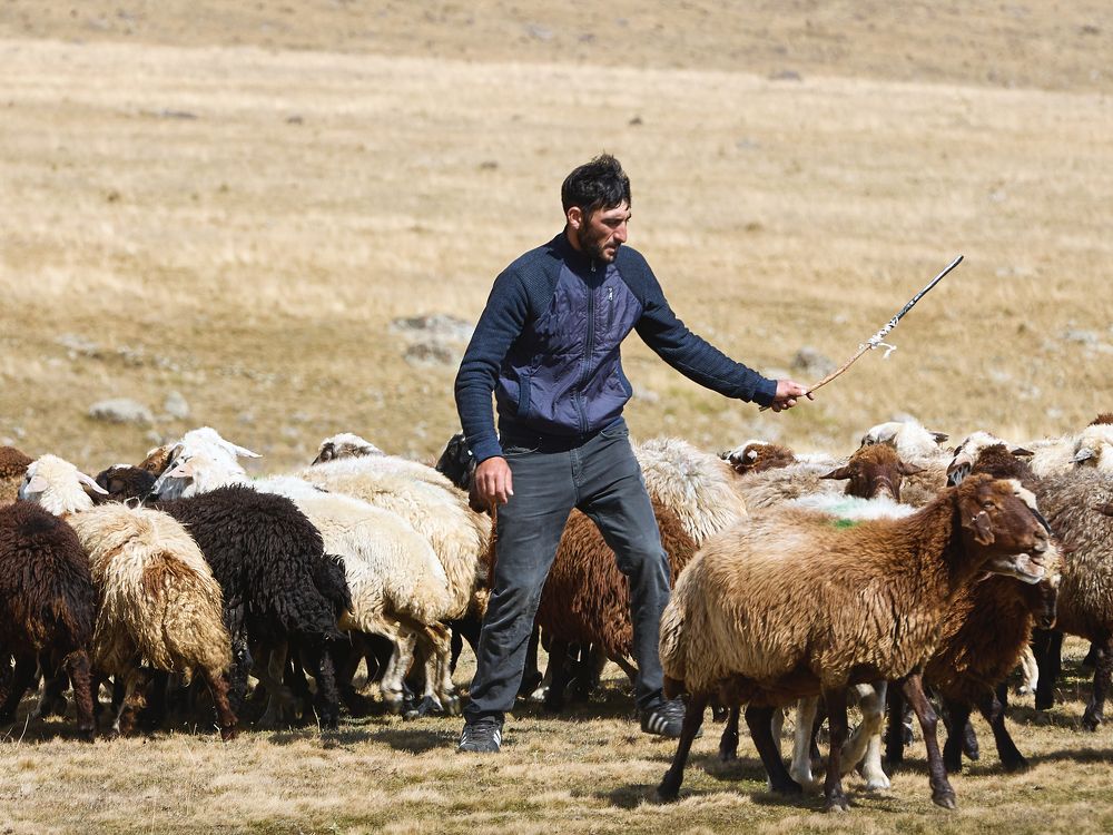 Photograph by Воробьев Вячеслав