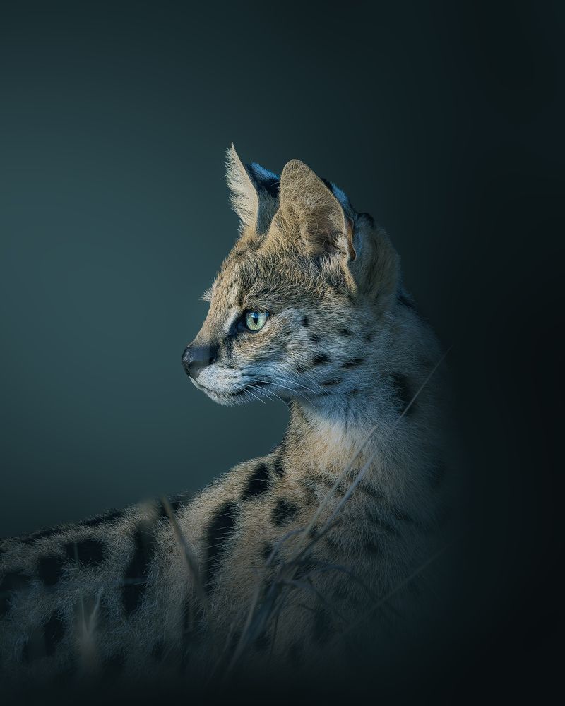 Photograph by praveesh pv