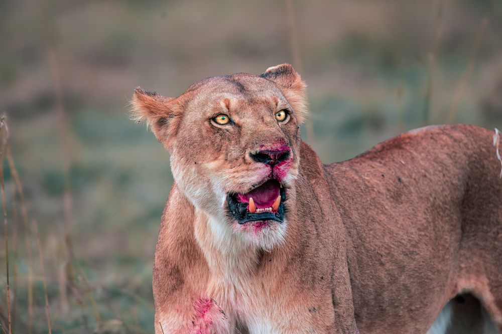 Photograph by praveesh pv