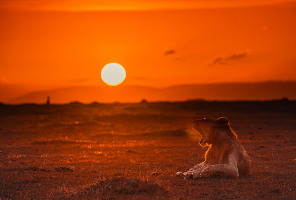 Photograph by praveesh pv