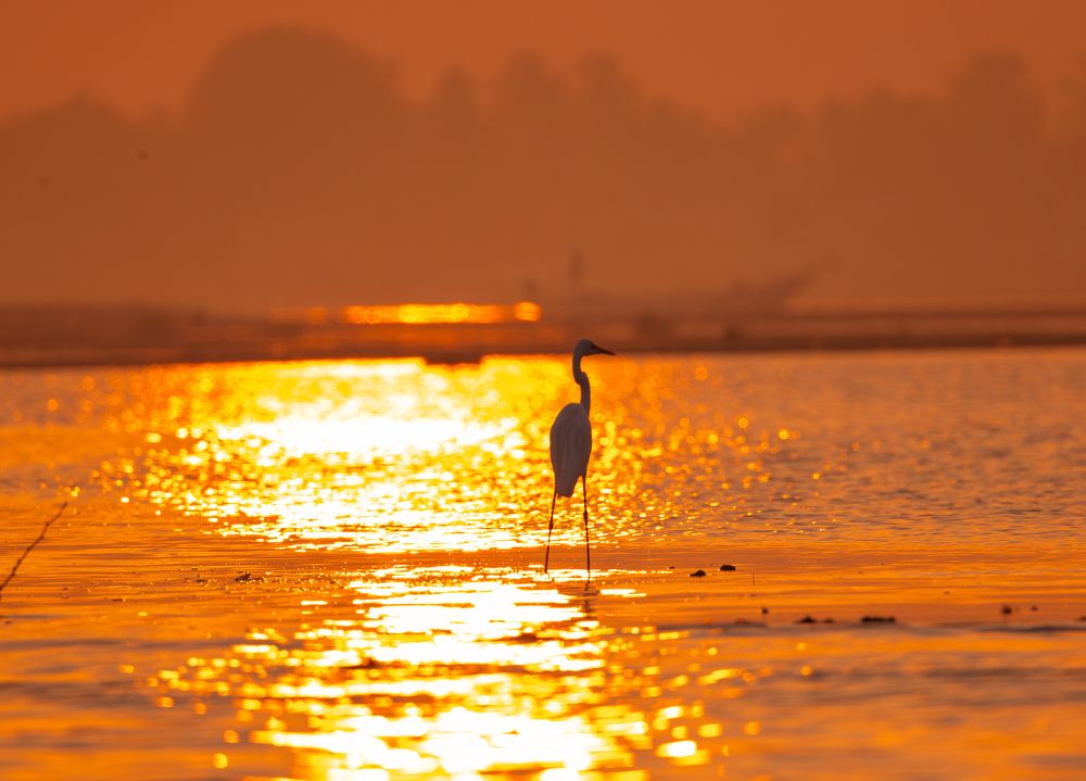 Photograph by praveesh pv