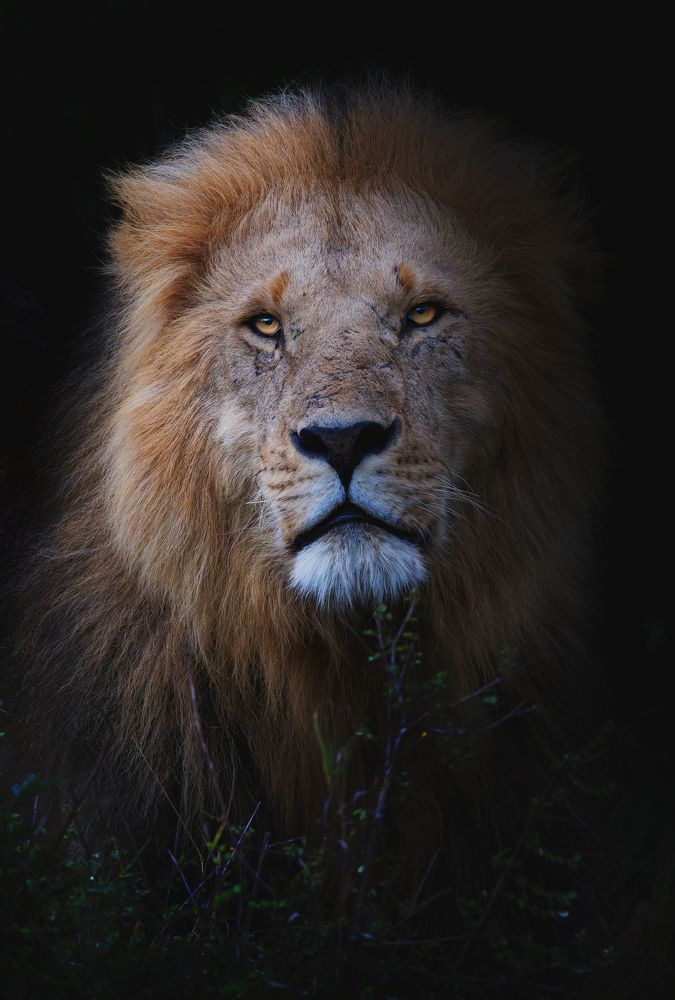 Photograph by praveesh pv