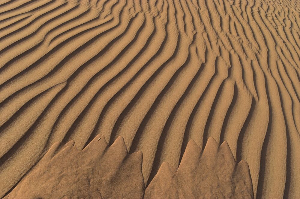 Photograph by Анна Стрельченко