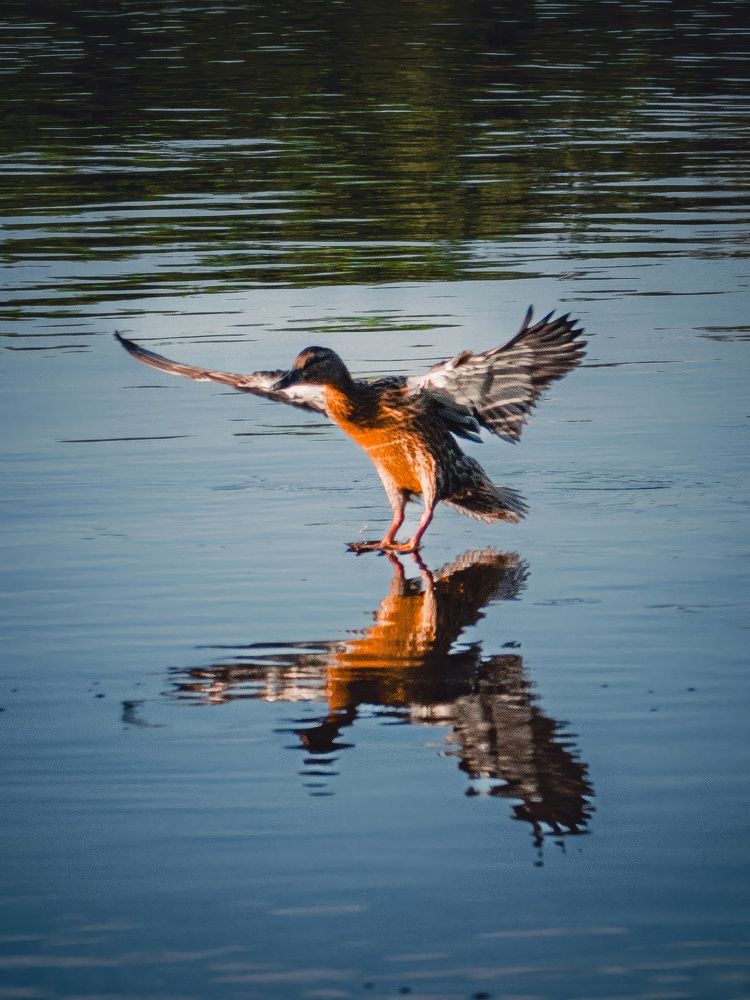 Photograph by Ольга Волкова