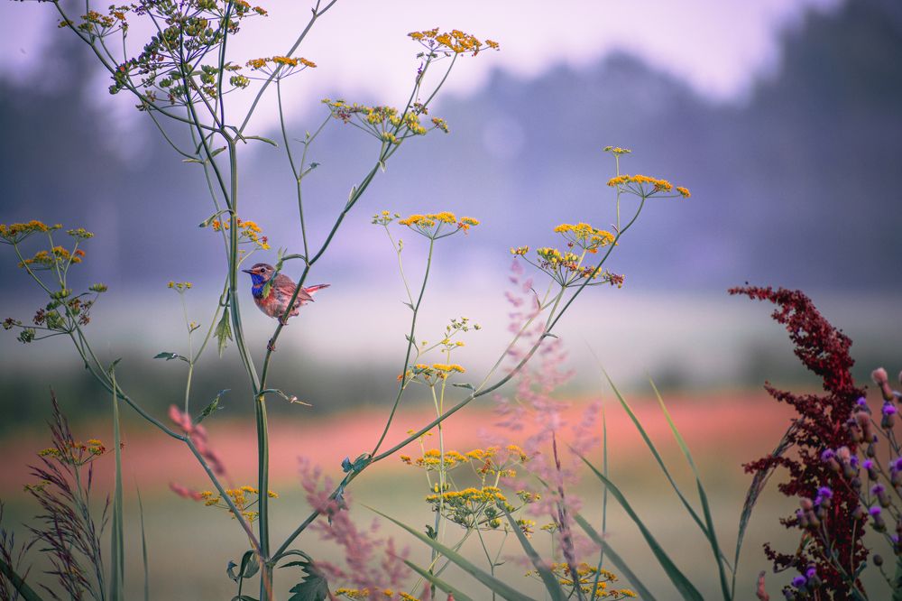 Photograph by Ольга Волкова