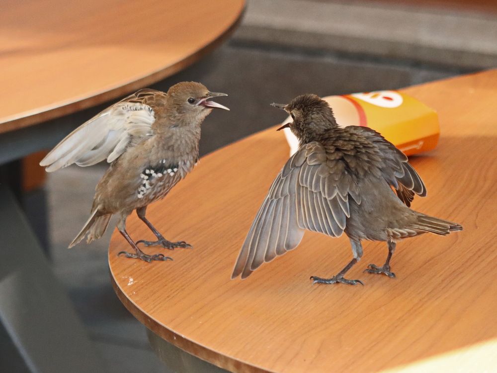 Photograph by Сергей Маслов