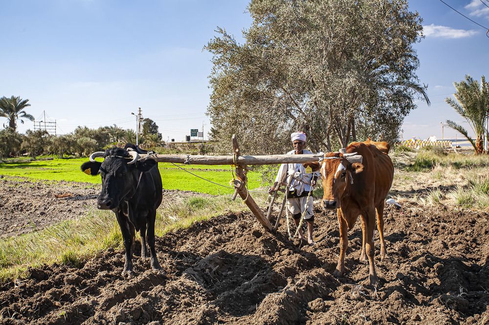 Фотография автора Reda