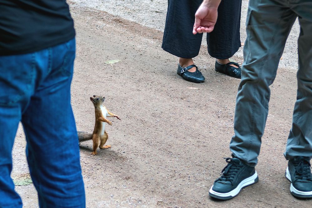 Photograph by Демьян Лопатов