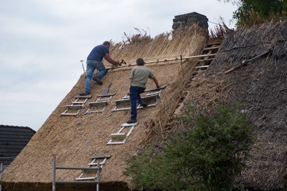 Photograph by Alexey Olkhovenko