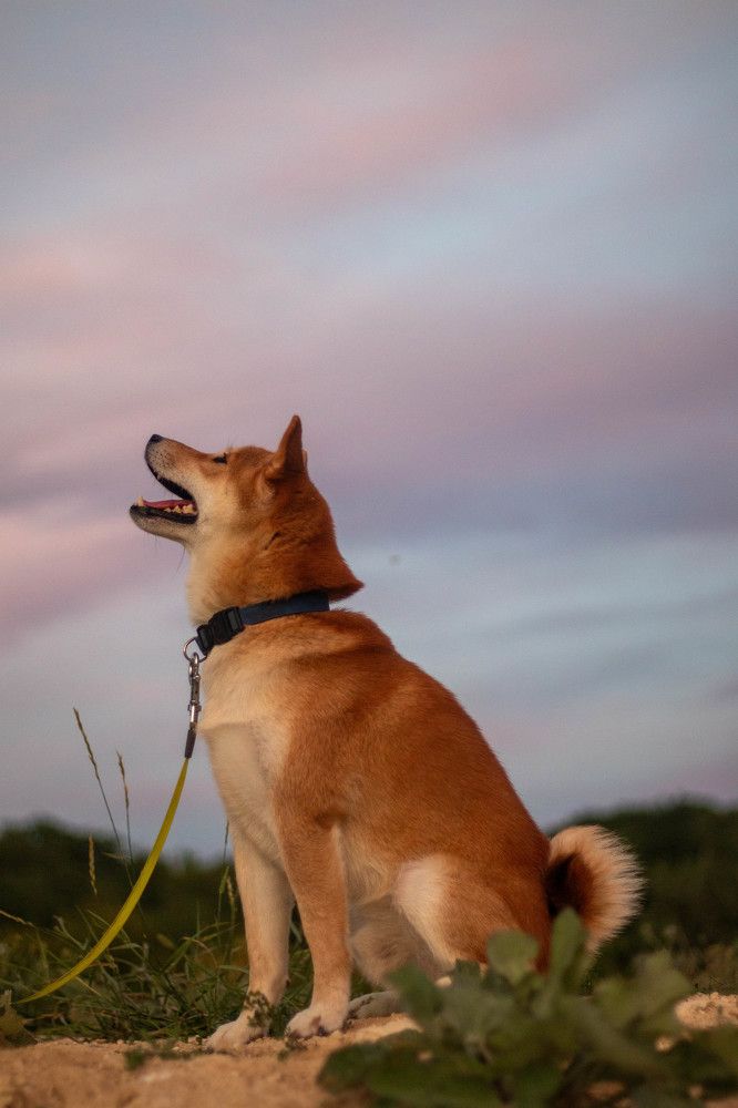 Photograph by Женя Женин