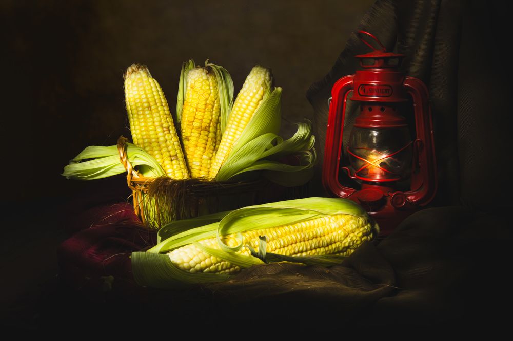 The harvest is done!