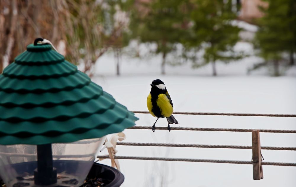 Photograph by Юлия Самсонова