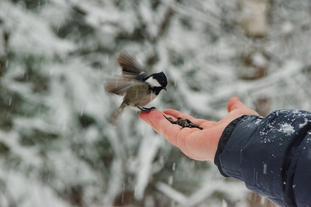 Photograph by Александр