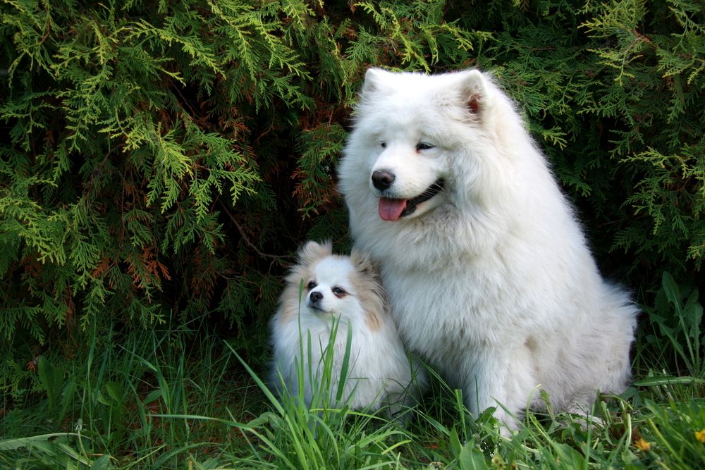 Фотография автора Nelya  Lysenko