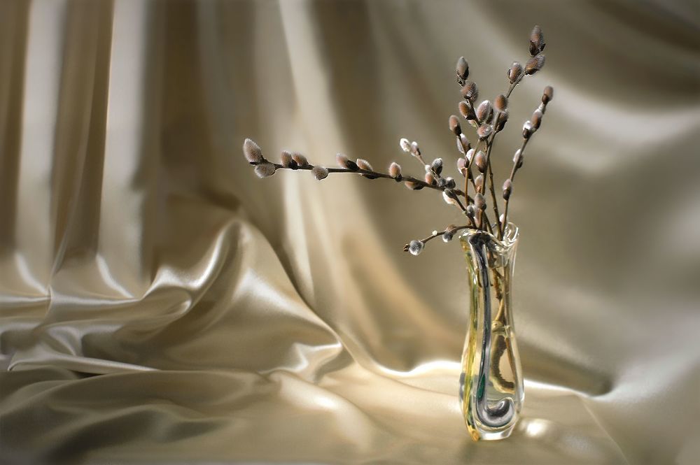 Photograph by Заболотская Ольга