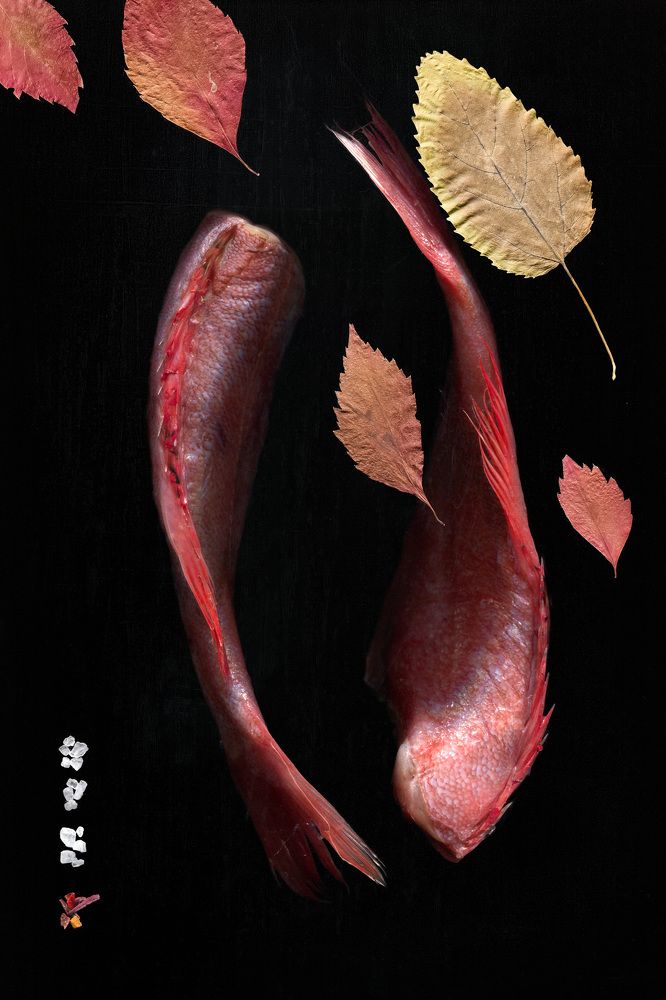 Photograph by Олег Болотников