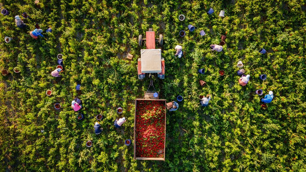 Photograph by Adem Albayrak