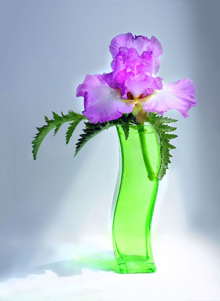 Воображуля