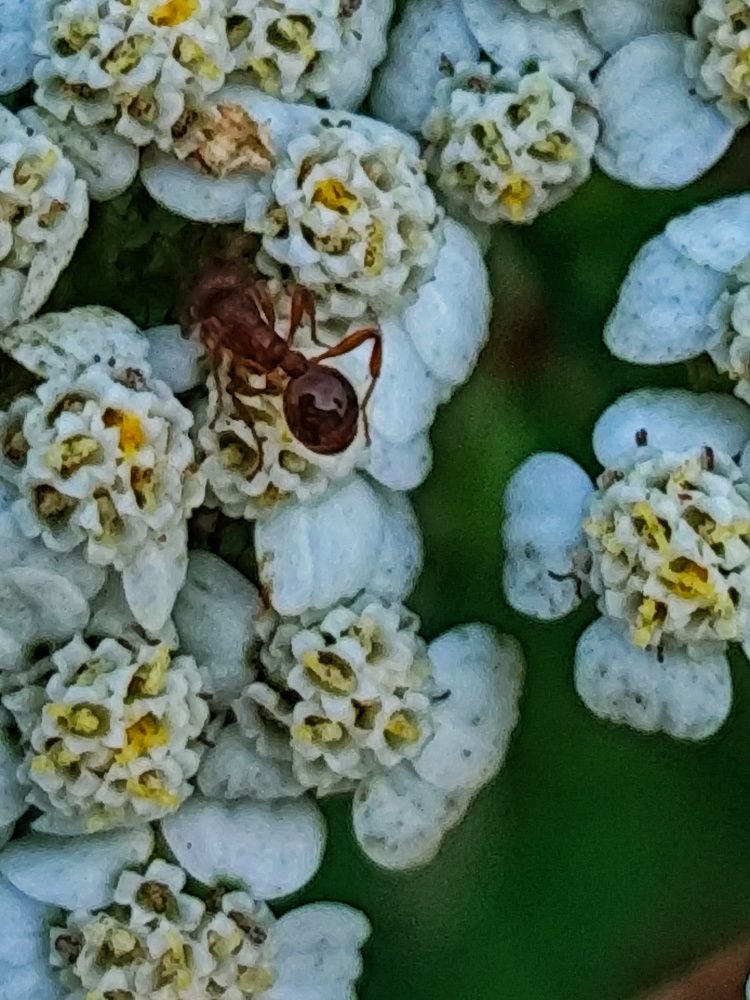 Photograph by Ирина Горбач